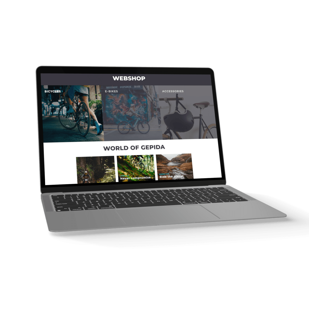 laptop with Gepida screen 2