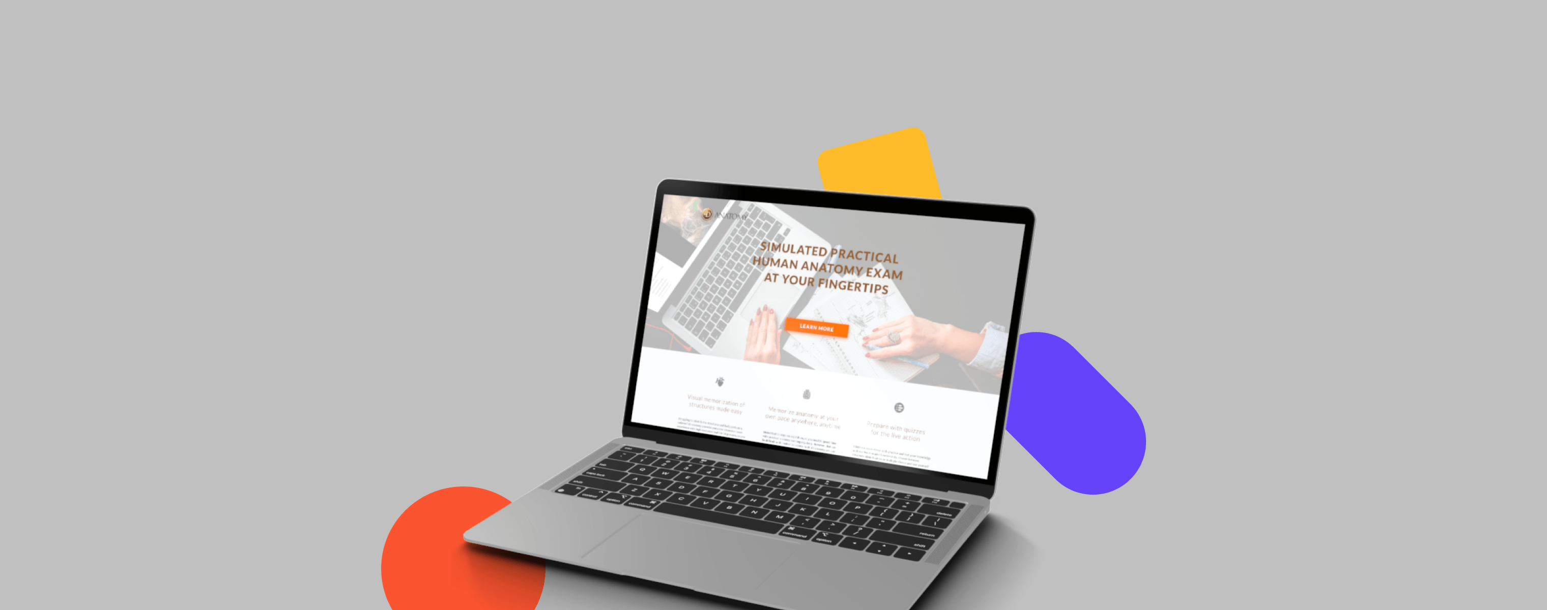 laptop with 4D Anatomy screen